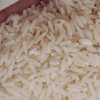 هاشمی   ۲۷کیلو تازه کوبیده از دست کشاورز|خوردنی و آشامیدنی|رشت, پل تالشان|دیوار