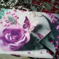 روبالشتی