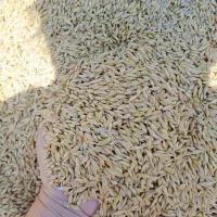 جو خارجی روس