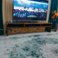 ال ای دی۶۵پانوسنیک