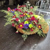 دعوت به همکاری در کافه دی