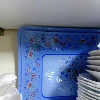 ظرف پذیرایی