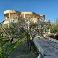 منزل اجاره یا همخانه خانم