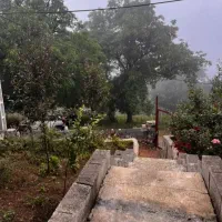 اجاره روزانه|اجارهٔ خانه و ویلا|دالخانی, |دیوار