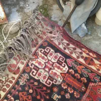 گبه قدیمی وعالی|کلکسیون اشیاء عتیقه|برازجان, |دیوار