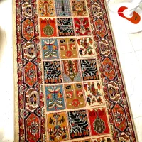 فرش کودک و کناره سالن|فرش|بهارستان, |دیوار