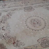 فرش|فرش|اسفراین, |دیوار