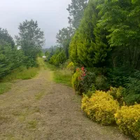 2-هکتار-گلخانه-در-حال-کار-باغ-عروس