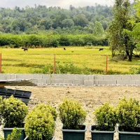 خانه ویلایی مدرن با ۲۵۰ متر زمین منظره جنگلی کوه|فروش خانه و ویلا|فومن, |دیوار