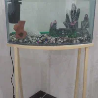 آکواریوم شیشه ای منحنی سالم سالم