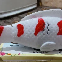 کوت عبدالله|اسباب‌‌بازی|کارون, |دیوار