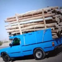 سلام چوب خشک شما را به به قیمت بالا خریدارم