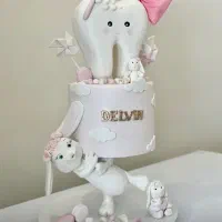 ماکت کیک دندونی