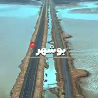بوشهر و گناوه میبرم کسی بود اطلاع بده|خدمات حمل و نقل|شیراز, دانشگاه شیراز|دیوار
