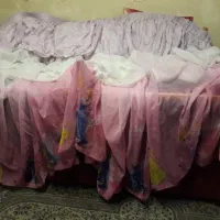 پرده پرنسسی