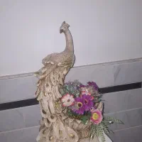 گلدون طاووس