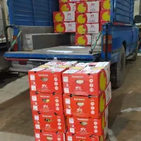 کارتون موزی، کارتن موز دسته دار 5لایه سایز بزرگ نو