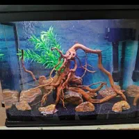 آکواریوم ماهیران ۶۰ لیتری