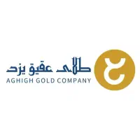 استخدام نیروی طلاسازی