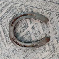 نعل اسب کارکرده|اسب و تجهیزات اسبسواری|خرمآباد, |دیوار