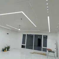 سیم کشی برق کشی لاینر و انواع نورپردازی...|خدمات پیشه و مهارت|اسدآباد, |دیوار