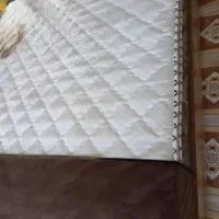 تشک(خوشخواب)