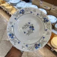 آرکوپال پارس اپال 120 و 124 و 148 و لب طلا