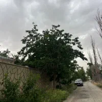 باغ-400متری-خ-باغستان-ابراهیم-بیگ-نظرابادمتری-3500