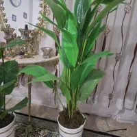 دوعدد گل مصنوعی|گل مصنوعی|نورآباد, |دیوار