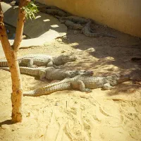 چابهار گردی گردشگری با لیدر محلی|تور و چارتر|چابهار, |دیوار