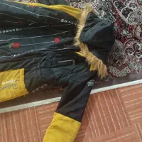 پالتو نو|لباس|گالیکش, |دیوار