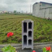 بلوک فوق سبک پوکه ای|مصالح و تجهیزات ساختمان|نوشهر, |دیوار