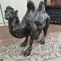 مجسمه برنز شتر خارجی