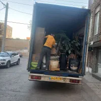 زرین بارشهروشهرستان تهران شمال زابل زاهدان کیش|خدمات حمل و نقل|مشهد, الهیه|دیوار