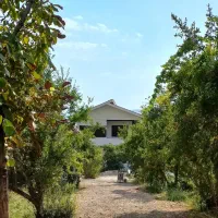 فروش باغ ویلا ۱۰۰۰متری فاروق|فروش خانه و ویلا|مرودشت, بیست متری بیمارستان|دیوار