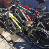 ویوا ورتکس ۲۴