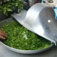 نیرو خانم مغازه سبزی خردکنی