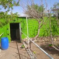 نقاشی ساختمان|خدمات پیشه و مهارت|گلپایگان, |دیوار