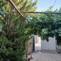 ۲۵۰ متر ویلا باغ تاج خاتون|فروش خانه و ویلا|قم, بکایی|دیوار