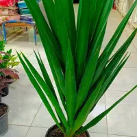 نیازمندسرویس