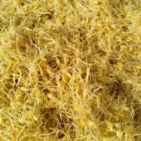 ارد جوانه وارد برنج وارد نخود