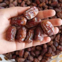 خرما‌ سعمران|حراج|اهواز, پردیس دو|دیوار