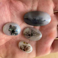 سنگ انگشتر شجر قائن کلکسیونی،عتیقه،باب طلا،معاوضه|جواهرات|تهران, تهرانسر شرقی|دیوار