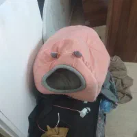 پارک‌پت‌خونگی