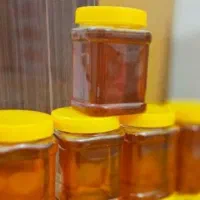 فروش عسل طبیعی گون