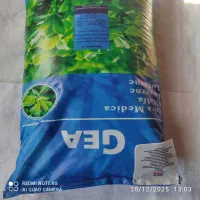 بذر یونجه عمده فروشی