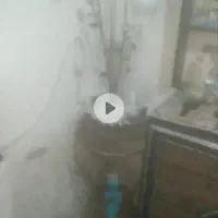 ابازور
