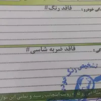 206تیپ ۳|خودرو سواری و وانت|کرمانشاه, |دیوار