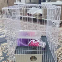 قفس|لوازم جانبی حیوانات|مشهد, نظام دوست|دیوار