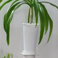 گل با گلدون